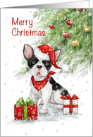 French-bulldog with Santa’s hat and presents, Merry Christmas card