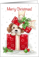 Adorable dog popping up from decorated box, Merry Christmas card