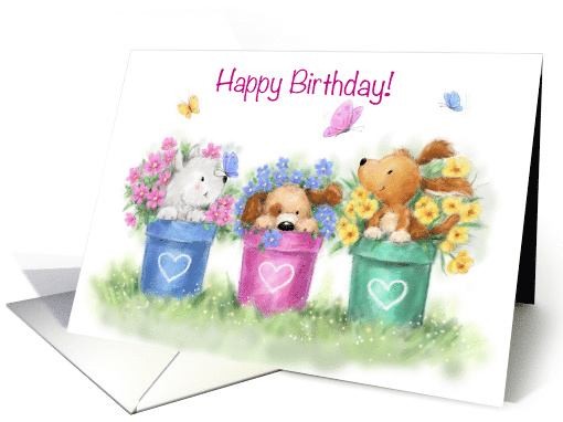 Happy Birthday from three cute dogs in beautiful colorful... (1536124)