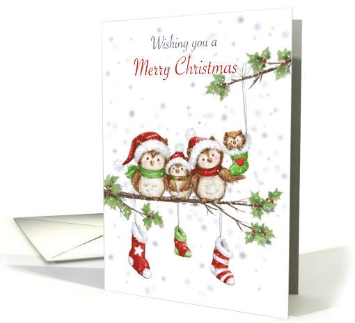 Merry Christmas from Cute Owl Family with Santa's Hat on Branch card