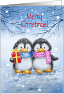 Merry Christmas, cute penguin couple with present in snow card