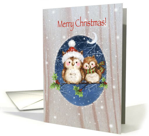 Merry Christmas, cute owls with Santa's hat on holly's branch card