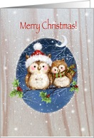 Merry Christmas, cute owls with Santa’s hat on holly’s branch card