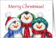 Merry Christmas, Three Cute Penguins with Colorful Hats and Scarves card