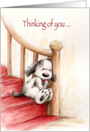 Thinking of You, Cute Lonely Dog Sitting on Stair with Loving Look card