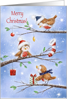 Merry Christmas to Colleague, Three Cute Robins on Branches in Snow card