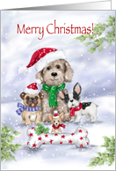 Merry Christmas, Dogs Wearing Santa’s hat with Huge Bone card