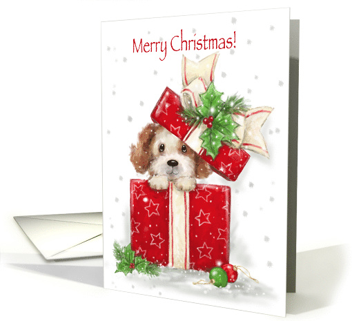 Merry Christmas, Cute Dog Popping from Beautifully Decorated Box card