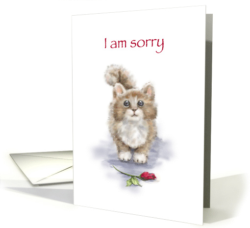I am Sorry, Cute Cat with Sad Eyes with Rose in Front card (1558024)