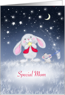 Special Mom You are...