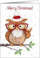 Merry Christmas, Funny Owl with Red eyeglasses with Peace Sign card
