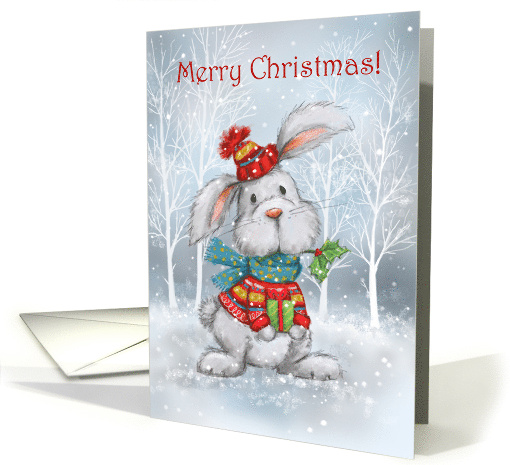 Merry Christmas Cute Rabbit with Colorful Clothing card (1637482)