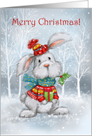 Merry Christmas Cute Rabbit with Colorful Clothing card
