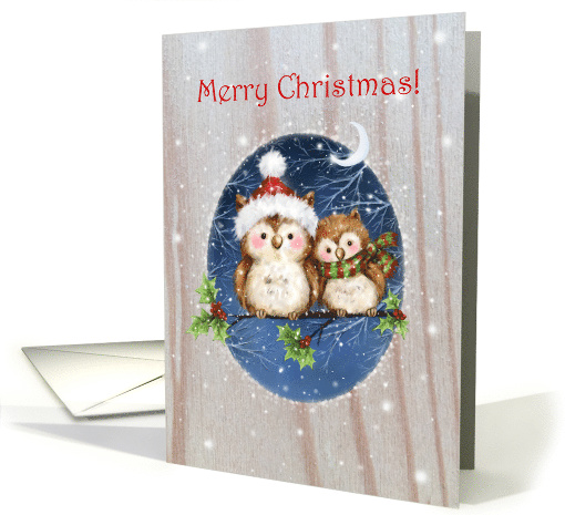 Merry Christmas Two Owls on Branch with Moon card (1637608)