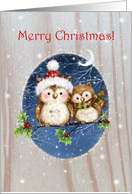 Merry Christmas Two Owls on Branch with Moon card