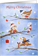 Merry Christmas Robins Greeting on Branches card
