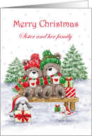 Christmas to Sister and her Family Bear Couple on Bench card