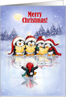 Merry Christmas Penguins Singing Chorus card