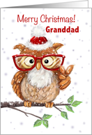 Merry Christmas Granddad Cool Owl with Eyeglasses Showing V Sign card