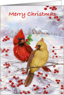Merry Christmas Cardinal Couple on Berry Branch card