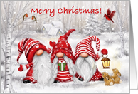 Merry Christmas Gnomes and Friends in Snowy Woodland card