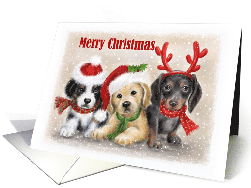 Merry Christmas Three Puppies card (1710084)