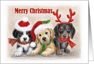 Merry Christmas Three Puppies card
