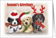 Season’s Greetings Three Puppies card