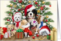 Merry Christmas from Dogs and Cats card