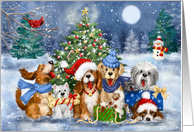 Happy Holidays Dogs in front of Decorated Tree card