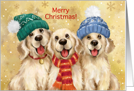 Merry Christmas Three Golden Dogs card
