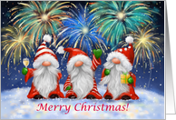 Happy New Year Gnomes with Firework