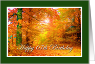 Happy 67th Birthday card