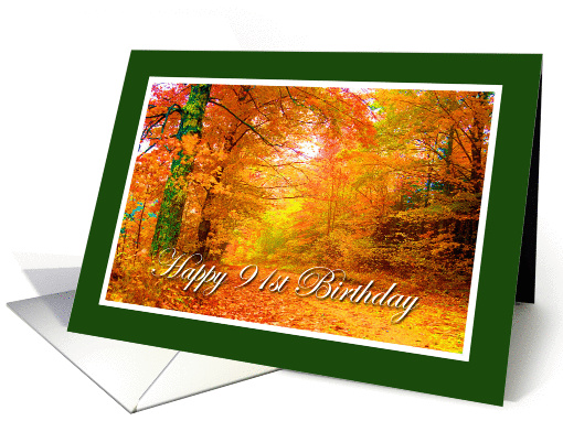 Happy 91st Birthday card (228344)