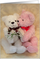Teddy Bear Couple...