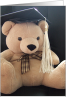 Graduation Cap Bear card