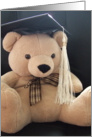 Graduation Cap Bear card