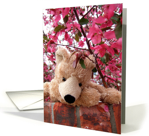 Apple Blossom Teddy card (68478)