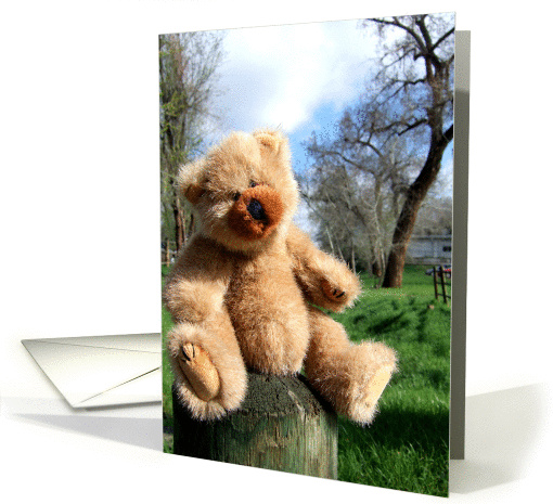 Nature Bear card (68480)