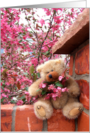 Garden Wall Teddy Bear card