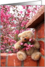 Garden Wall Teddy Bear card