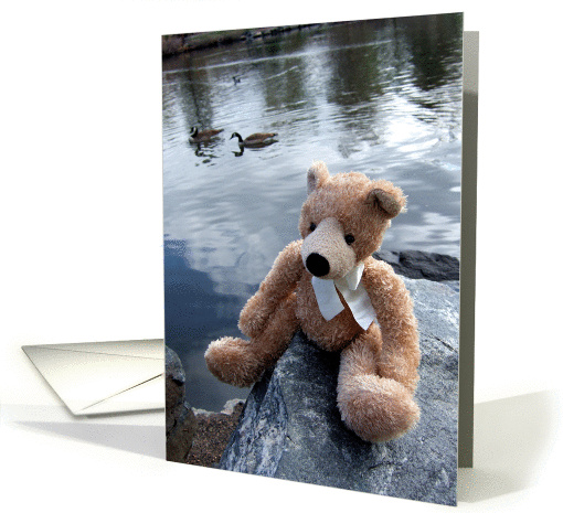 Lake View Teddy Bear card (68484)