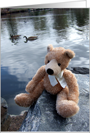 Lake View Teddy Bear card