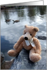 Lake View Teddy Bear card