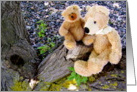 Tree Climbing Bears card