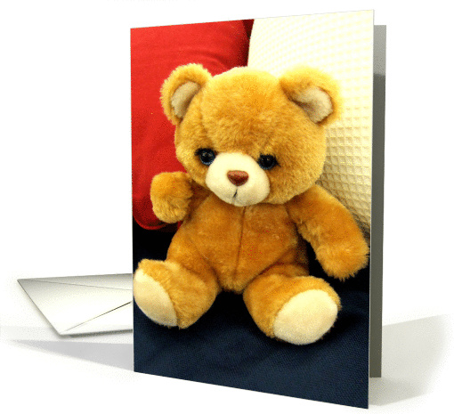 Red White and Blue Bear card (71235)
