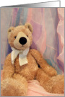 Teddy Bear Sends Hope card