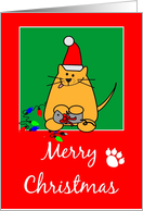 Christmas Cat card