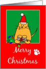 Christmas Cat card