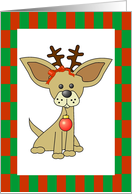 Chihuahua Christmas card
